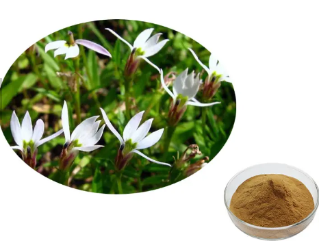 20230612151901f88e123543f64763940e2d189e1a7cf0 20230612151901f88e123543f64763940e2d189e1a7cf0