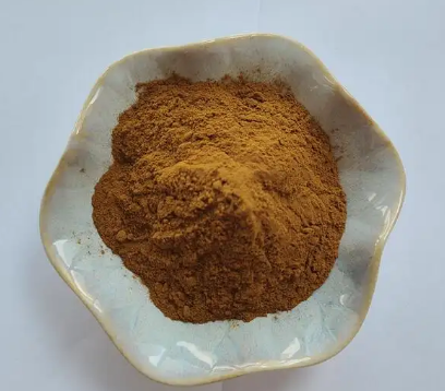 20230613153110e4f880bebe4144cb8c52a74d73fb7e1f-1 20230613153110e4f880bebe4144cb8c52a74d73fb7e1f-1