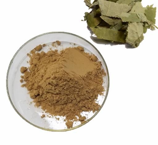 icariin56203291548 Icariin56203291548