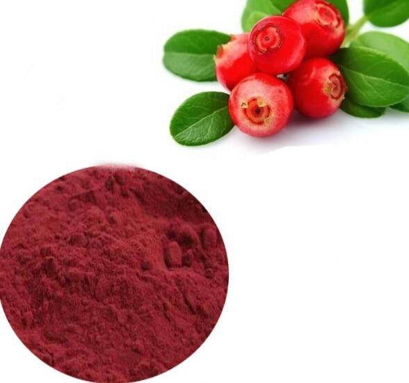 cranberry-fruit-extract46421408718 Cranberry Fruit Extract46421408718