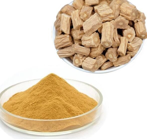 codonopsis-powder43100784467 Codonopsis Powder43100784467