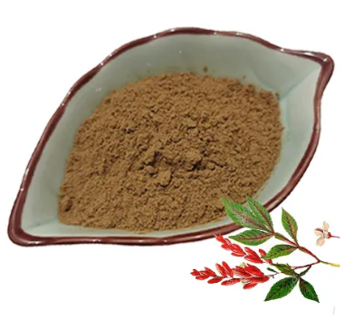 quassia-amara-extract07a5f43e-046c-48c2-8d22-0bf907af1f3a Quassia Amara Extract07a5f43e 046c 48c2 8d22 0bf907af1f3a