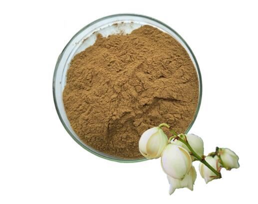 yucca-extract20339547211 Yucca Extract20339547211