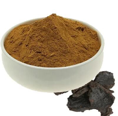 rehmannia-glutinosa-root-extractc0463811-dd21-4e03-879a-368fd4353bd7 Rehmannia Glutinosa Root Extractc0463811 Dd21 4e03 879a 368fd4353bd7