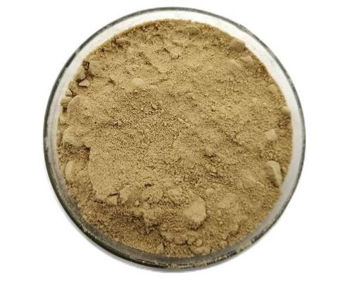 protease-enzyme10165182656 Protease Enzyme10165182656