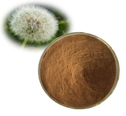 Dandelion Root And Leaf Extract59161143966