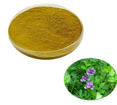 alfalfa-extract-powder49163784160 Alfalfa Extract Powder49163784160