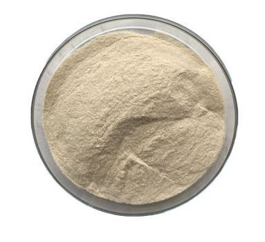 amylase-enzyme31139171973 Amylase Enzyme31139171973