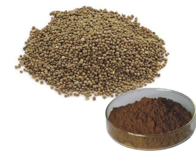 perilla-seed-extract32030503219 Perilla Seed Extract32030503219