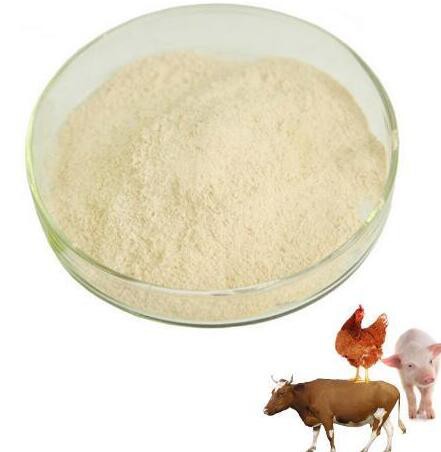 phytase20078513223 Phytase20078513223