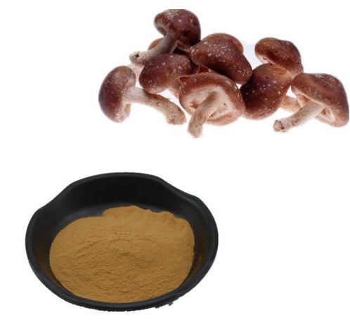 lentinus-edodes-extract27118707280 Lentinus Edodes Extract27118707280
