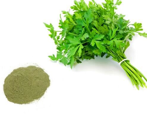 parsley-herb-extract41313034346 Parsley Herb Extract41313034346