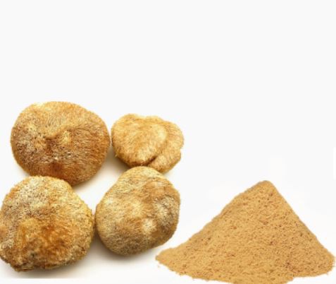 lions-mane-mushroom-powder25141883710 Lions Mane Mushroom Powder25141883710