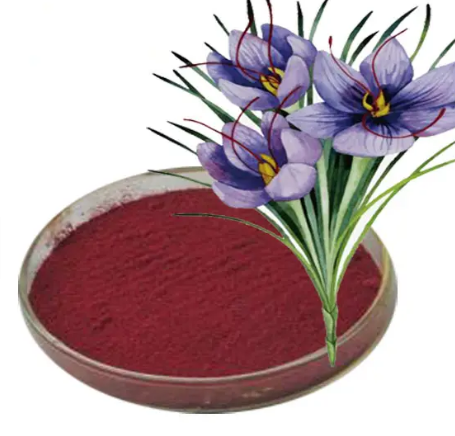 comfrey-root-powder7459f0ba-d700-459f-926e-be088c3da1a0 Comfrey Root Powder7459f0ba D700 459f 926e Be088c3da1a0