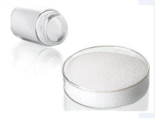 aspergillus-niger-enzyme42369147598 Aspergillus Niger Enzyme42369147598