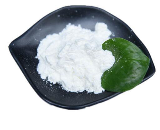 creatine-monohydrate-powder08081838453 Creatine Monohydrate Powder08081838453