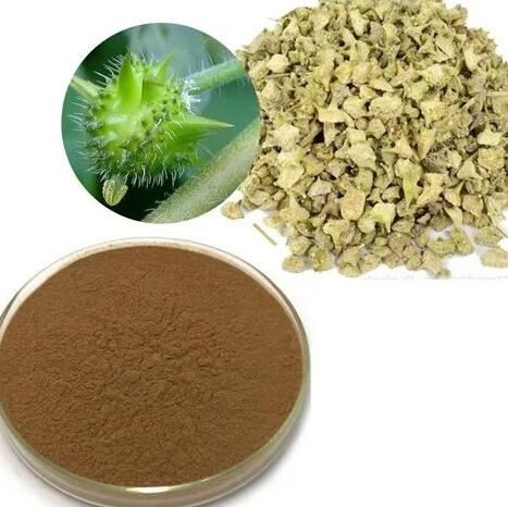 tribulus-terrestris-extract-powder58539327283 Tribulus Terrestris Extract Powder58539327283