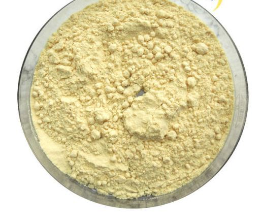 enterococcus-faecalis-probiotic33370447892 Enterococcus Faecalis Probiotic33370447892