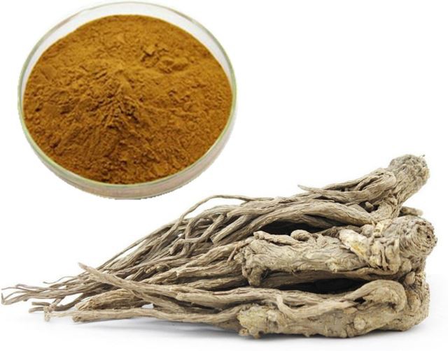 angelica-extract40410735647 Angelica Extract40410735647