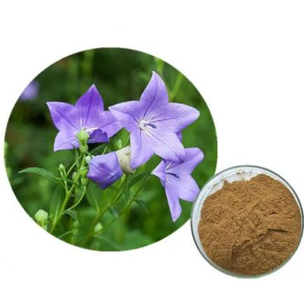 bellflower-extractbf10d74c-8672-4230-be4e-50d3ec81a4c5 Bellflower Extractbf10d74c 8672 4230 Be4e 50d3ec81a4c5