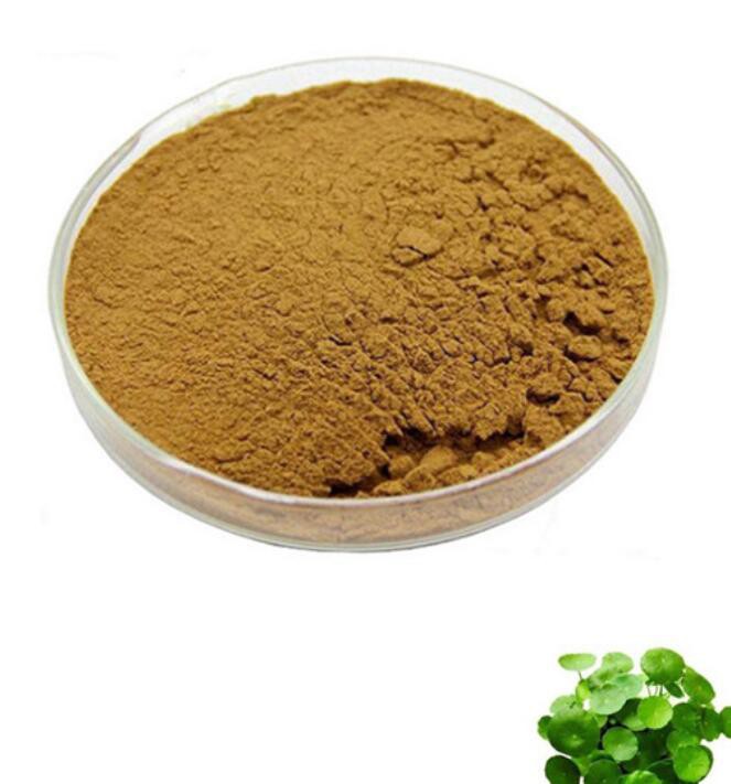 lysimachia-extract34358766115 Lysimachia Extract34358766115
