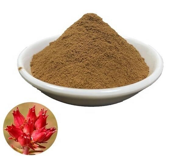 rhodiola-root-powder56204133513 Rhodiola Root Powder56204133513