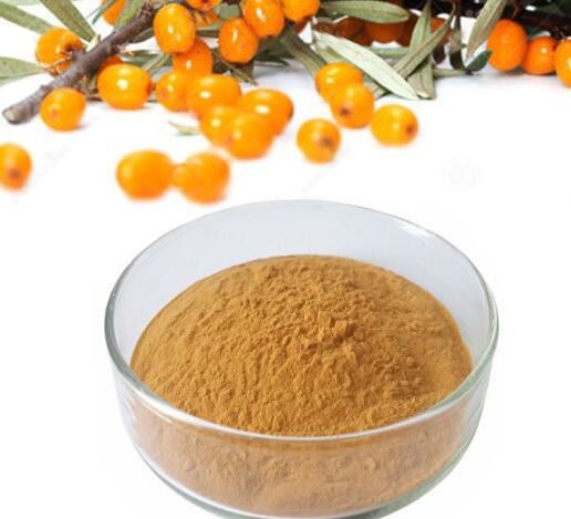 organic-sea-buckthorn-powder05586335406 Organic Sea Buckthorn Powder05586335406
