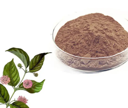 uncaria-extracte58283cc-8606-4648-9f5a-81b3b937c652 Uncaria Extracte58283cc 8606 4648 9f5a 81b3b937c652