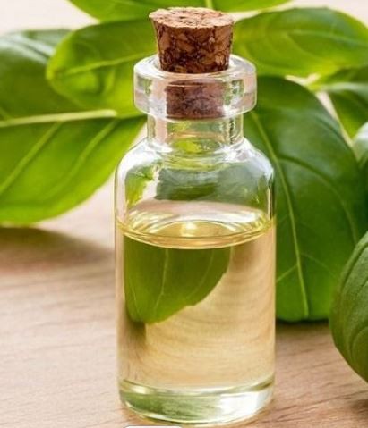 clove-oil26112369561 Clove Oil26112369561