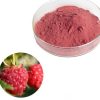 red-raspberry-powder59389270832 Red Raspberry Powder59389270832